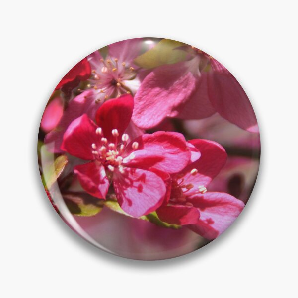 Item preview, Pink Prunus Blossum at Magpie Springs by Avril Thomas designed and sold by MagpieSprings.