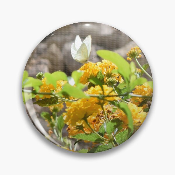 Item preview, Beautiful Lone Butterfly Among Yellow Flowers - Panorama designed and sold by MangoSeeds.