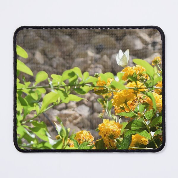 Item preview, Beautiful Lone Butterfly Among Yellow Flowers - Panorama designed and sold by MangoSeeds.