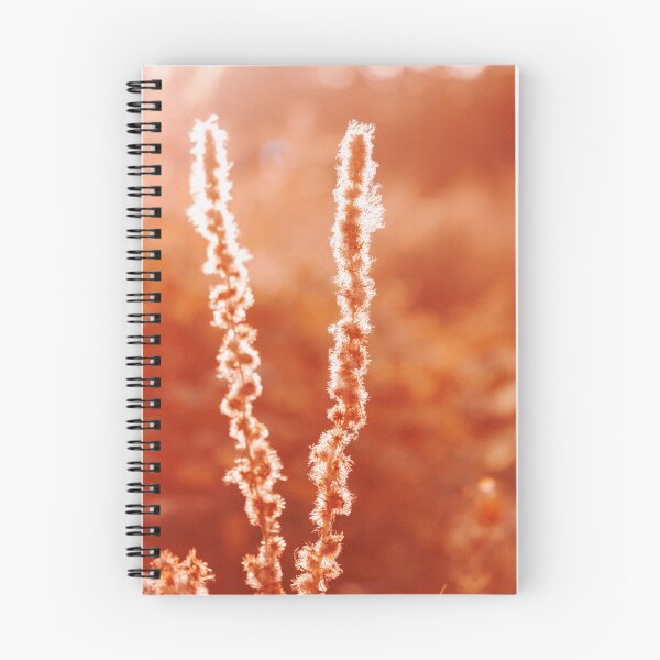 Item preview, Sunset shine in wild grass designed and sold by AhArtMe.
