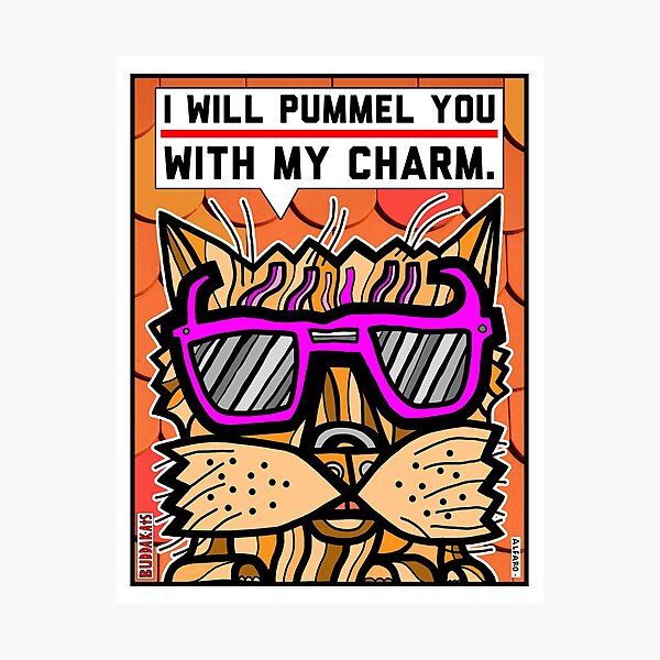 "I will pummel you with my charm." Photographic Print