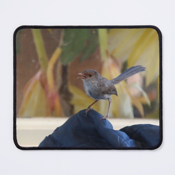Item preview, Female Wren at Magpie Springs Vineyard - South Australian Wildlife designed and sold by MagpieSprings.
