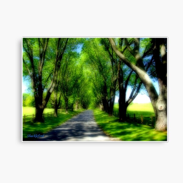 Highlands Highway Canvas Print