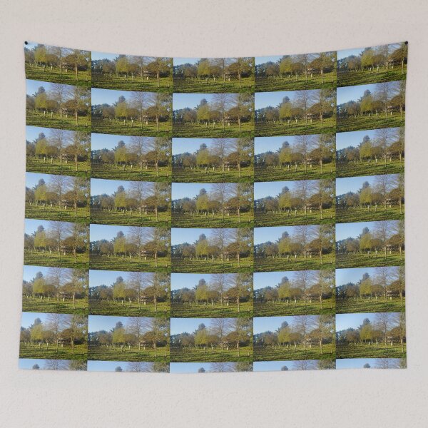 Item preview, Winter at Magpie Springs Vineyard with Homestead by Adelaide Artist Avril Thomas.  designed and sold by MagpieSprings.