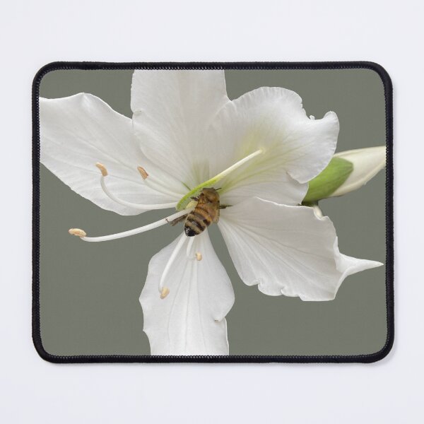 Item preview, Bee on flower designed and sold by indiafrankk.