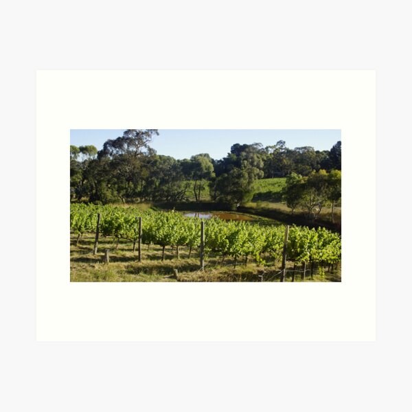 Item preview, Grape Vines and Lilly Pond by Adelaide artist Avril Thomas at Magpie Springs designed and sold by MagpieSprings.