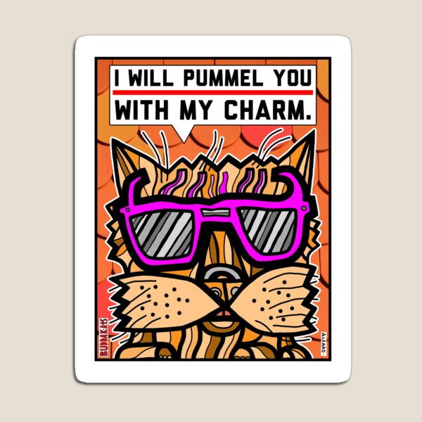 "I will pummel you with my charm." Magnet