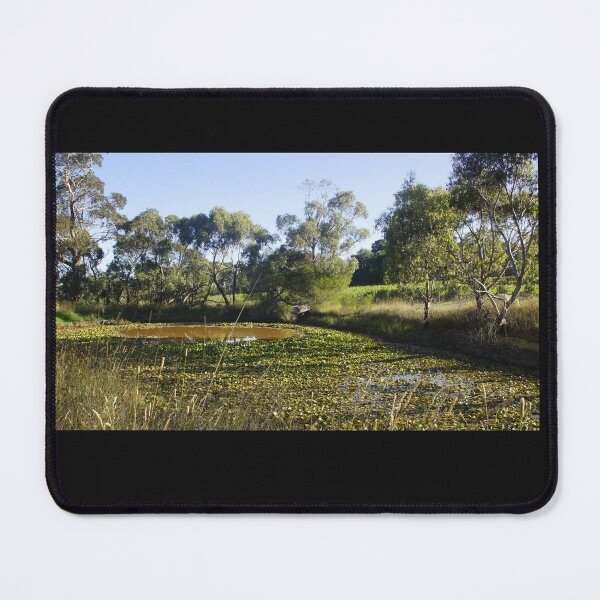Item preview, Lilly Pond at Magpie Springs by Adelaide artist Avril Thomas  designed and sold by MagpieSprings.