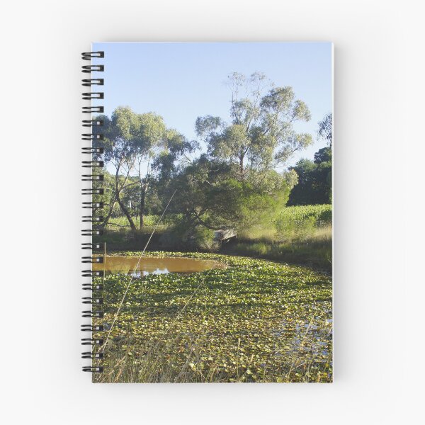 Item preview, Lilly Pond at Magpie Springs by Adelaide artist Avril Thomas  designed and sold by MagpieSprings.