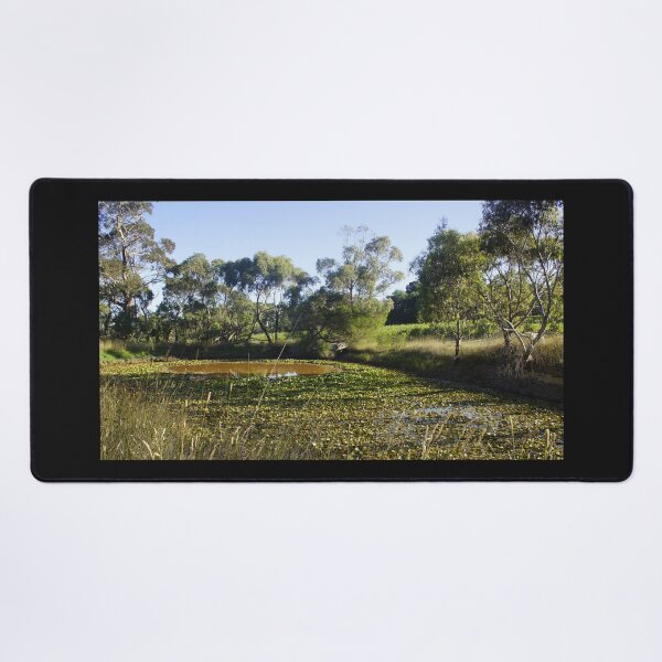 Item preview, Lilly Pond at Magpie Springs by Adelaide artist Avril Thomas  designed and sold by MagpieSprings.