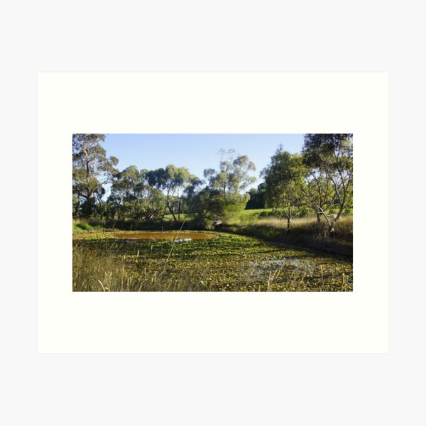 Item preview, Lilly Pond at Magpie Springs by Adelaide artist Avril Thomas  designed and sold by MagpieSprings.