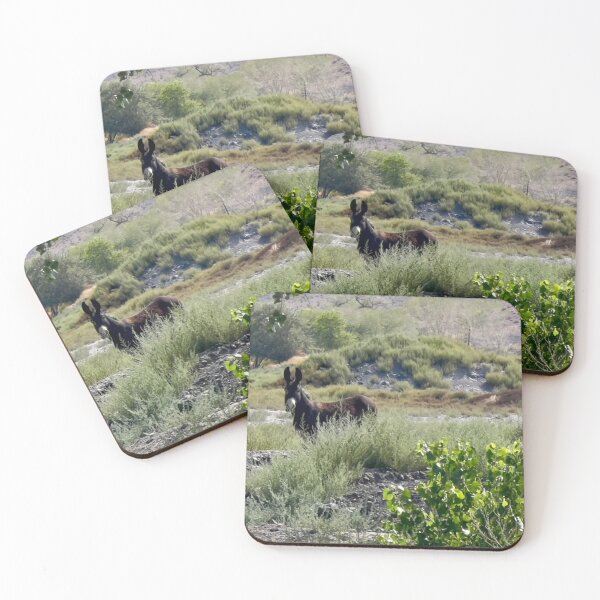 Item preview, Donkey in the Bushes designed and sold by Betsy Phillips.