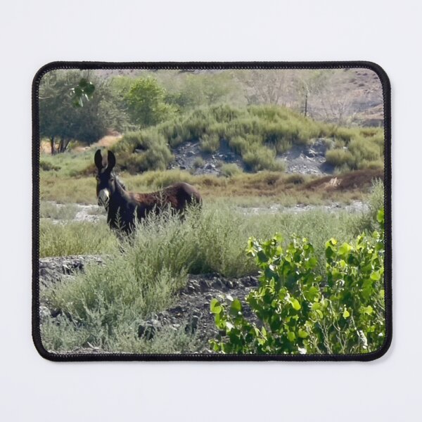 Item preview, Donkey in the Bushes designed and sold by Betsy Phillips.