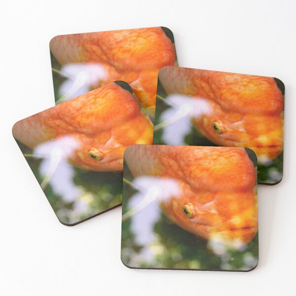 Item preview, Red koi fish under water designed and sold by AhArtMe.