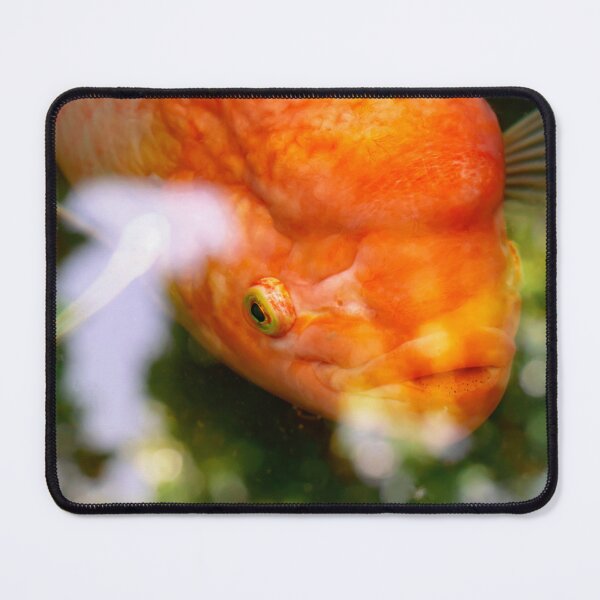 Item preview, Red koi fish under water designed and sold by AhArtMe.