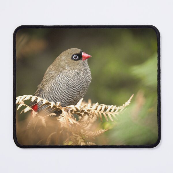 Item preview, A Beautiful Firetail designed and sold by CBoyle.