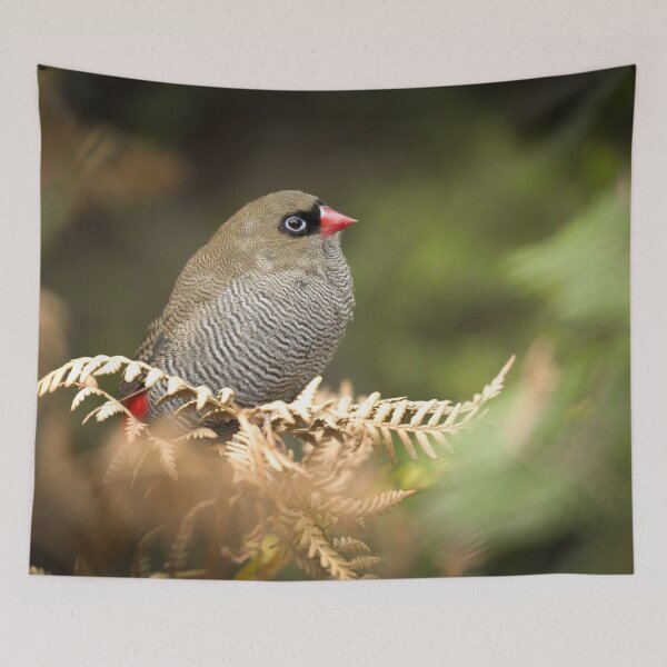 Item preview, A Beautiful Firetail designed and sold by CBoyle.