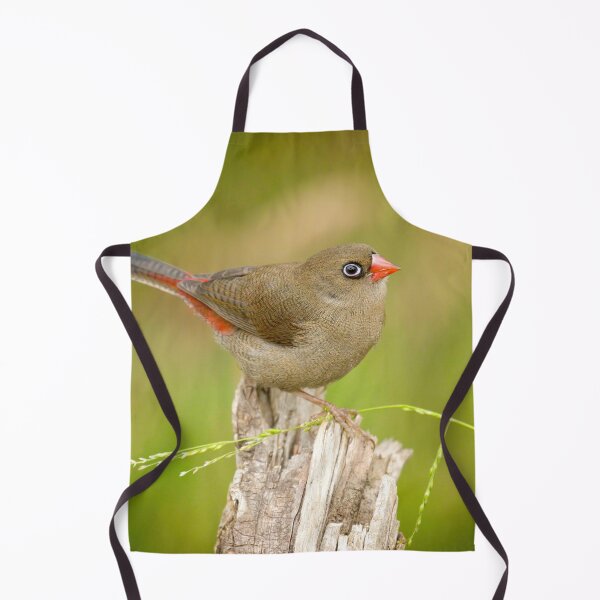 Item preview, What a Beauty designed and sold by CBoyle.