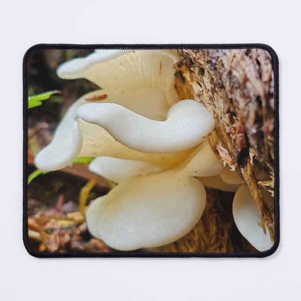 Item preview, Curious Mushrooms designed and sold by cheeriodp.