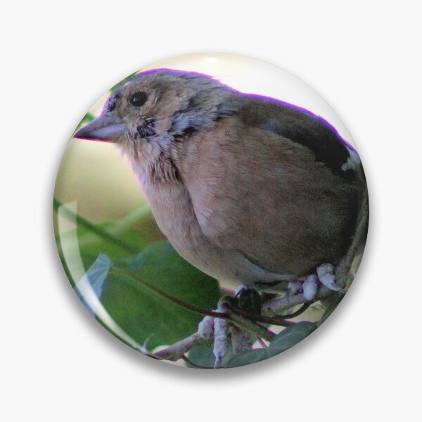 Item preview, chaffinch designed and sold by KathleenDawson.