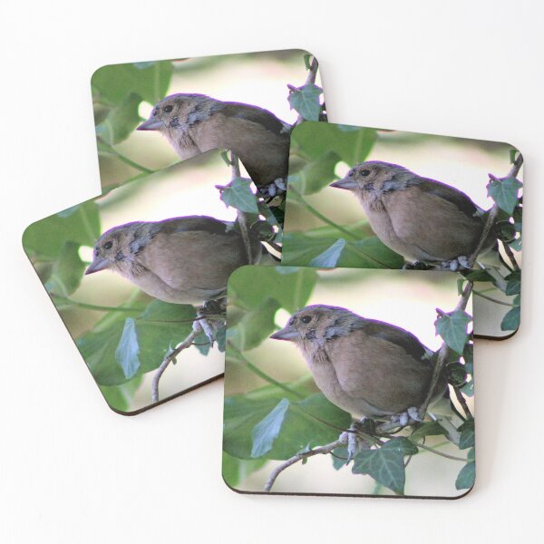 Item preview, chaffinch designed and sold by KathleenDawson.