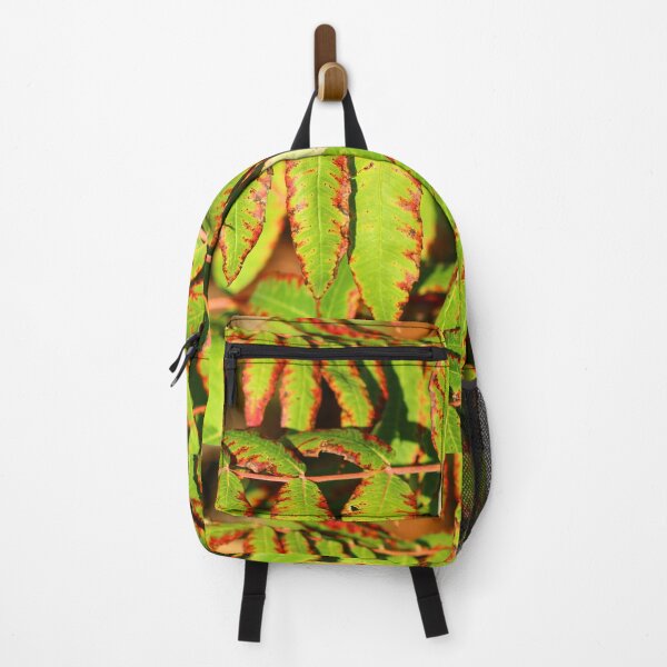 Item preview, Sunlight highlights the vibrant green leaves of a plant designed and sold by InezPhotography.