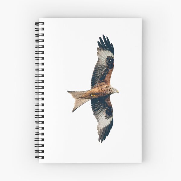 Item preview, Red Kite in Flight designed and sold by inspireyoureyes.