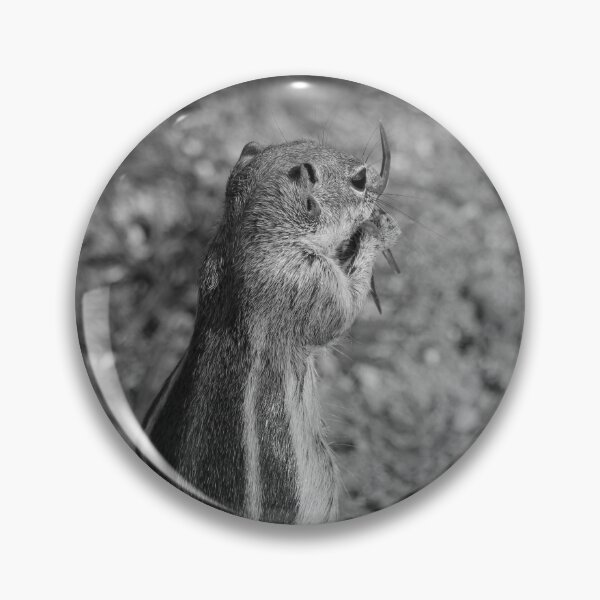 Artikelvorschau, Barbary Erdhörnchen Morro Jable schwarz und weiß vertikal entworfen und verkauft von eddiebarronshop.