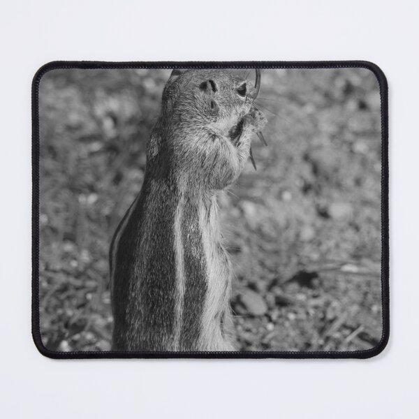 Item preview, Barbary Ground Squirrel Morro Jable Black and White Vertical designed and sold by eddiebarronshop.