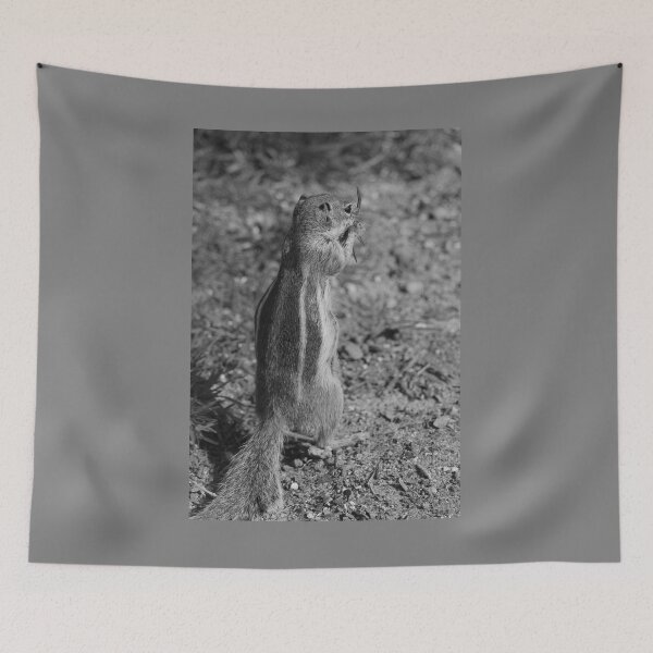Item preview, Barbary Ground Squirrel Morro Jable Black and White Vertical designed and sold by eddiebarronshop.