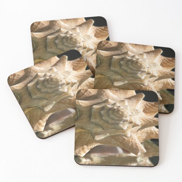 Item preview, spiky seashell with intricate ridges designed and sold by InezPhotography.