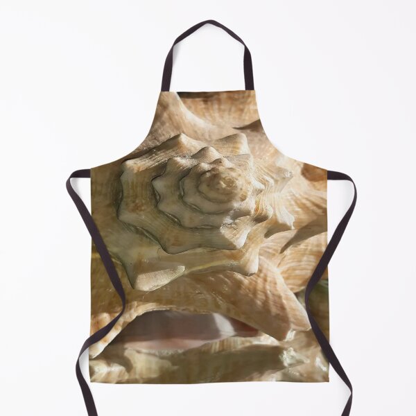 Item preview, spiky seashell with intricate ridges designed and sold by InezPhotography.
