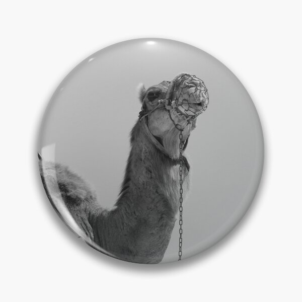 Item preview, Camel Corralejo Fuerteventura Spain black and white designed and sold by eddiebarronshop.