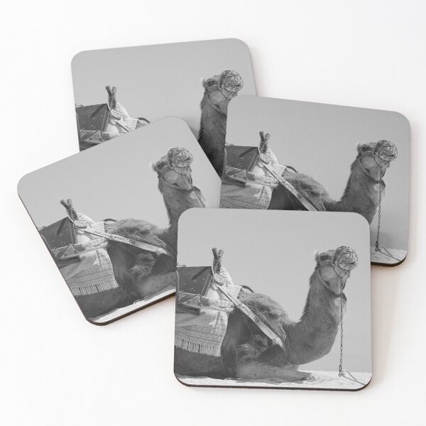 Item preview, Camel Corralejo Fuerteventura Spain black and white designed and sold by eddiebarronshop.