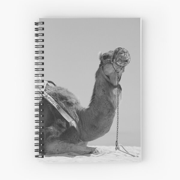 Item preview, Camel Corralejo Fuerteventura Spain black and white designed and sold by eddiebarronshop.