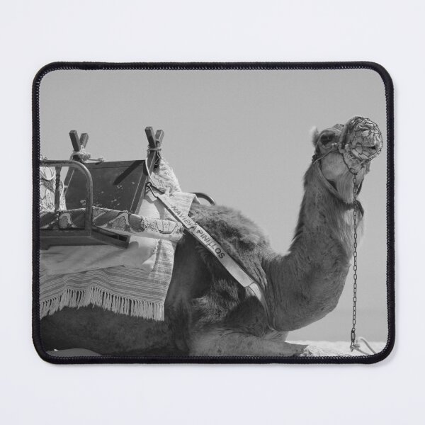 Item preview, Camel Corralejo Fuerteventura Spain black and white designed and sold by eddiebarronshop.