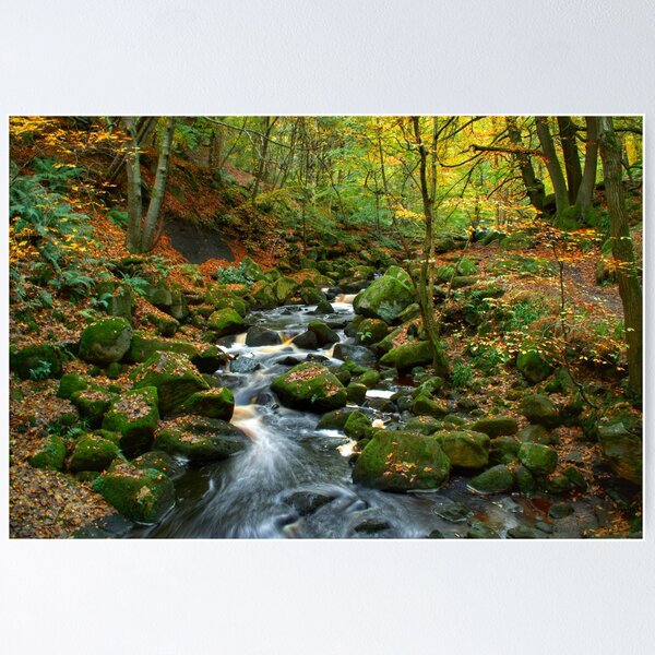 Item preview, Autumn in Padley Gorge designed and sold by Alisonchambers2.