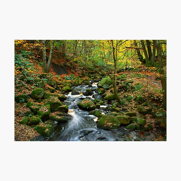 Item preview, Autumn in Padley Gorge designed and sold by Alisonchambers2.