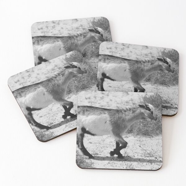 Item preview, Goat Corralejo Fuerteventua black and white designed and sold by eddiebarronshop.