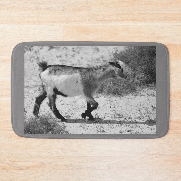 Item preview, Goat Corralejo Fuerteventua black and white designed and sold by eddiebarronshop.