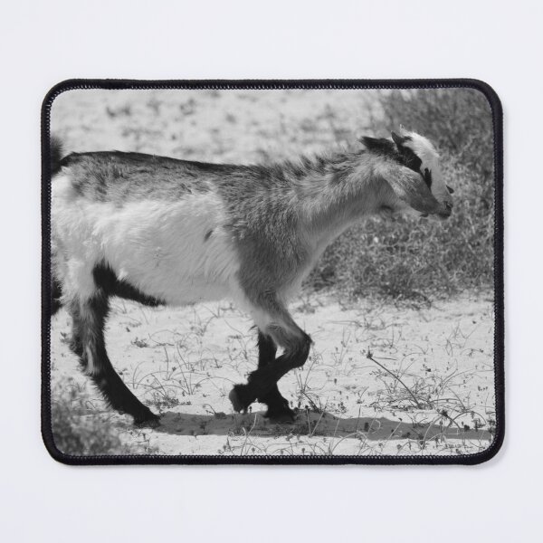 Item preview, Goat Corralejo Fuerteventua black and white designed and sold by eddiebarronshop.