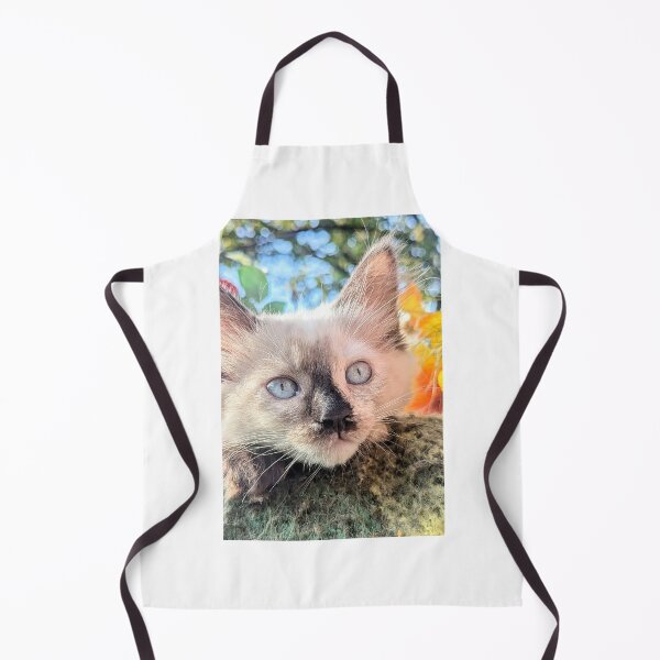 Item preview, Ragdoll Mainecoon kitten designed and sold by Fluffycat2020.