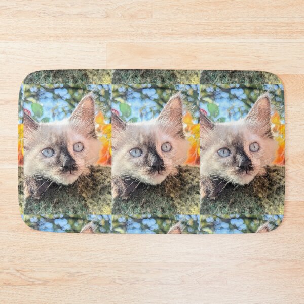 Item preview, Ragdoll Mainecoon kitten designed and sold by Fluffycat2020.