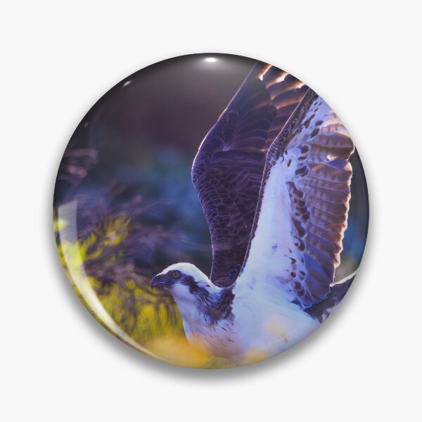 Item preview, Mindarie Osprey, Western Australia designed and sold by Dave Catley.