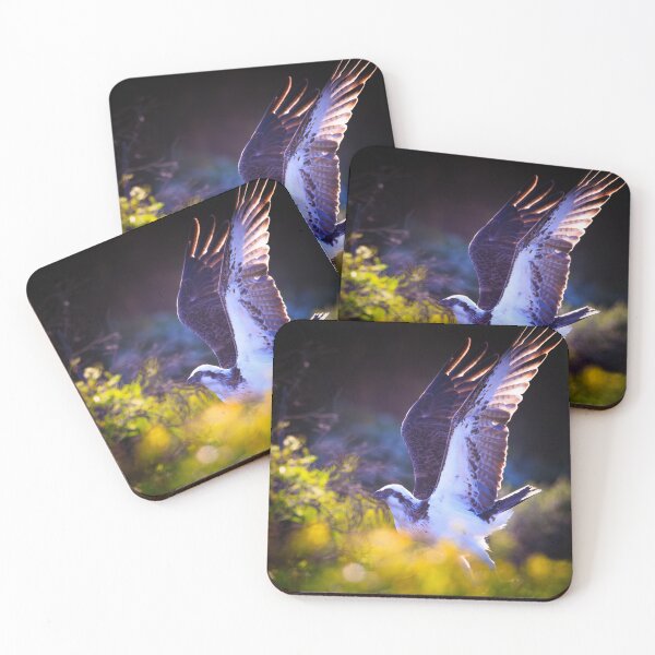 Item preview, Mindarie Osprey, Western Australia designed and sold by Dave Catley.