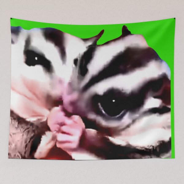 Item preview, Sugar Gliders Artwork  designed and sold by 3triadstore.