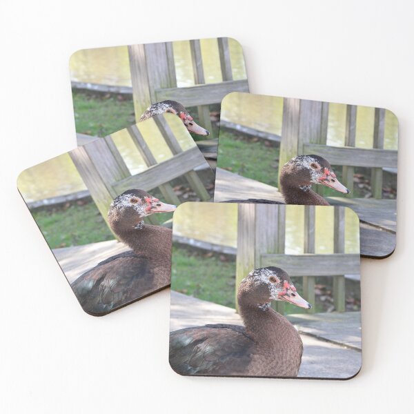 Item preview, Duck designed and sold by McFleur's Lens.