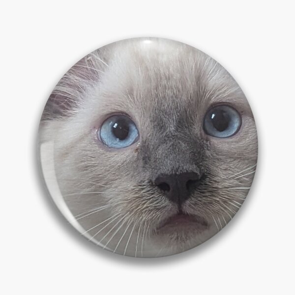 Item preview, Funny kitten designed and sold by Fluffycat2020.