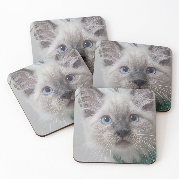 Item preview, Funny kitten designed and sold by Fluffycat2020.