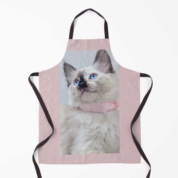 Item preview, Cute ragdoll Mainecoon kitten designed and sold by Fluffycat2020.